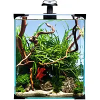 Imazo - Akvaario Nano LED 20 - 25 x 25 x 30 cm - Akvaariotarvikkeet - Akvaariot ja akvaariokalusteet - Akvaariot