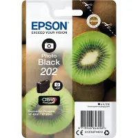 Epson Ink Photo Black 4.1ml 202