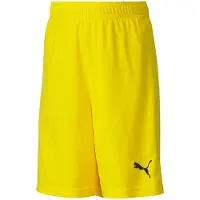 Puma teamGOAL 23 knit Shorts, jalkapalloshortsit juniori
