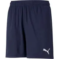 Puma Teamrise Training Shortsit