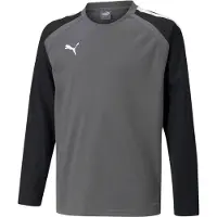 Puma Toiminnallinen paita 'TeamLiga' harmaa / musta / valkoinen