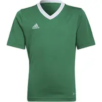 Adidas Toiminnallinen paita 'Entrada 22' ruohonvihreä / valkoinen