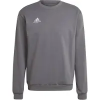 Adidas Ent22 Sw Top - Purple - L
