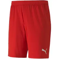 Puma Shortsit Puma teamGOA 23 knit Shorts 70426201
