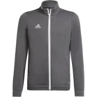 Adidas Verryttelytakki Entrada 22 - Harmaa Lapset, koko 128 cm