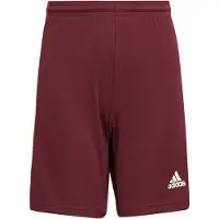Adidas Shortsit Squadra 21 - Viininpunainen/valkoinen Lapset, koko 128 cm