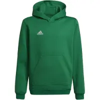 Adidas Entrada 22 Huppari