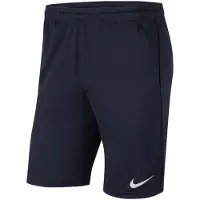 Nike Urheiluhousut 'Park 20' laivastonsininen / valkoinen