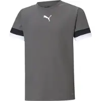 Puma Toiminnallinen paita 'TeamRise' tummanharmaa / musta / valkoinen