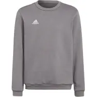 Adidas Urheilullinen collegepaita 'Entrada 22' tummanharmaa / valkoinen