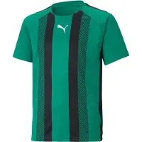 Puma teamLIGA Striped Jersey - Vihreä/Musta - Lapset, koko 164 cm