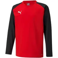 Puma Toiminnallinen paita 'TeamLiga' punainen / musta / valkoinen