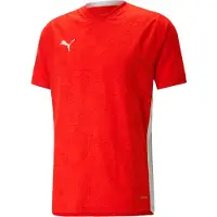 Puma Toiminnallinen paita punainen / tummanpunainen / valkoinen