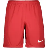 Nike Urheiluhousut 'League III' punainen / valkoinen