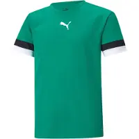 Puma Toiminnallinen paita 'TeamRise' smaragdi / musta / valkoinen