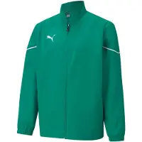 Puma Urheilutakki 'TeamRise' vihreä / valkoinen