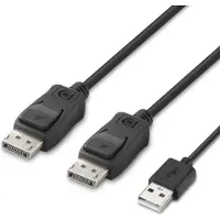 Belkin Secure Modular DP Dual Head Host Cable
