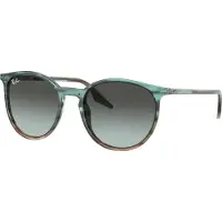 Ray-Ban - RB2204 1394GK 5120