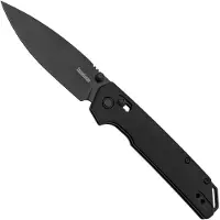 Kershaw Iridium Black