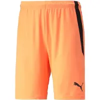 Puma Shortsit Teamliga - Oranssi/musta, koko Small