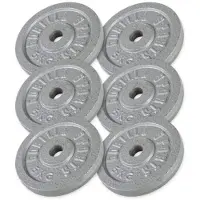 Gorilla Sports Painolevyt IRON Silver - 6x5kg