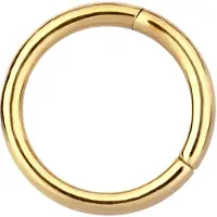Wildcat Hinged Segment Ring - kullanvärinen lävistysrengas (teräs)