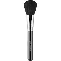 Sigma F30 Large Powder
