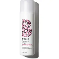 Briogeo Farewell Frizz Smoothing Shampoo, 236ml