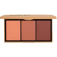 Jason Wu 3 Color Blush Palette Drive To Napa