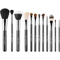 Sigma Essential Brush Set