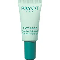Payot Pâte Grise Spéciale 5 cica-gel spot treatment 15 ml