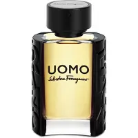 Salvatore Ferragamo Uomo, EdT 50ml