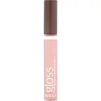 Aveda Color Gloss Pepino Melon