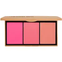 Jason Wu 3 Color Blush Palette Beautiful Earthling