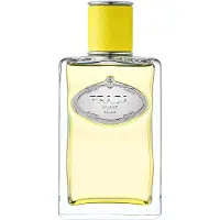 Prada Infusion Ylang, EdP 100ml