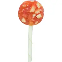 Trixie Lolly kanalla, juustolla ja vihreällä nahalla, 50 kpl.