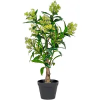 House Nordic 75 cm koristeellinen skimmia-puu