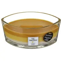 Woodwick Fruits of Summer Trilogy Ellipse Ellipse