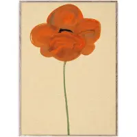 Paper Collective Orange Unikko -juliste 30 x 40 cm