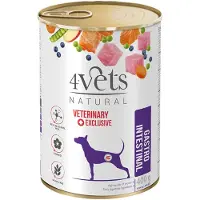 4vets 12x 400g Natural Dog Maha-suolikanavan koiranruoka märkää