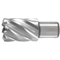HiKOKI Reikäsaha HSS; 80x30 mm