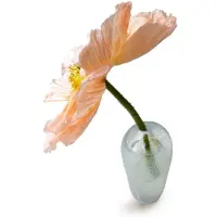 Mimou Liv Vase Mouth-blown Glass Vaasi Suupuhallettu Lasi - Maljakot Käsinpuhallettu Lasi Aqua - G08