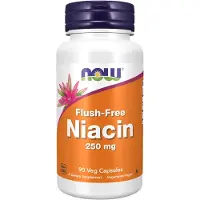 Now Niacin Flush-Free 250 Mg 90 kpl
