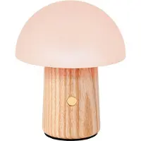 SmartaSaker Ladattava sienivalaisin, Small Saarni