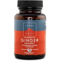 Terranova Fermented Ginger FERZINGER 50 kaps. ravintolisä