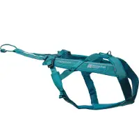 Non-Stop Dogwear Freemotion Harness 5.0 Teal 6