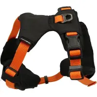 Dogman Emmi oranssi sporttivaljas