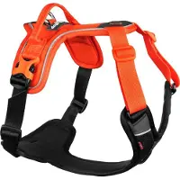 Non-Stop Dogwear Ramble Harness Orange L