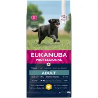 Eukanuba Adult Large