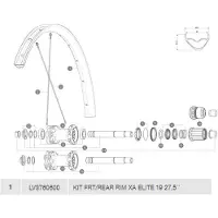 Mavic Xa Elite 19 Vanteet